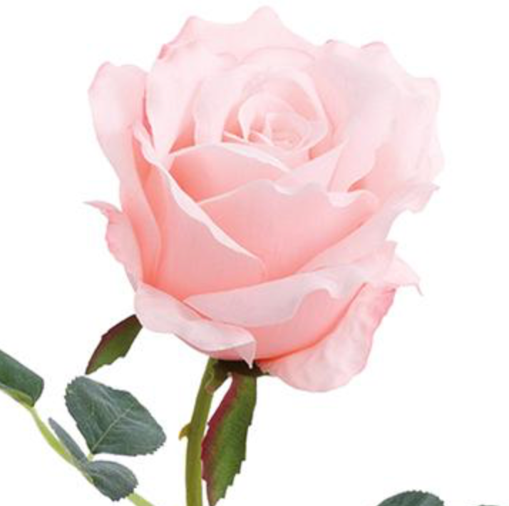24in Peach Rose - Premium Florals for Wreaths and Home Decor