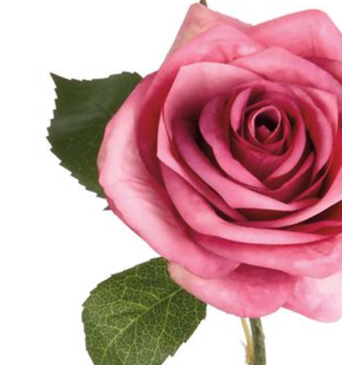 21in Rose Pink Rose - Premium Florals for Wreaths and Home Decor