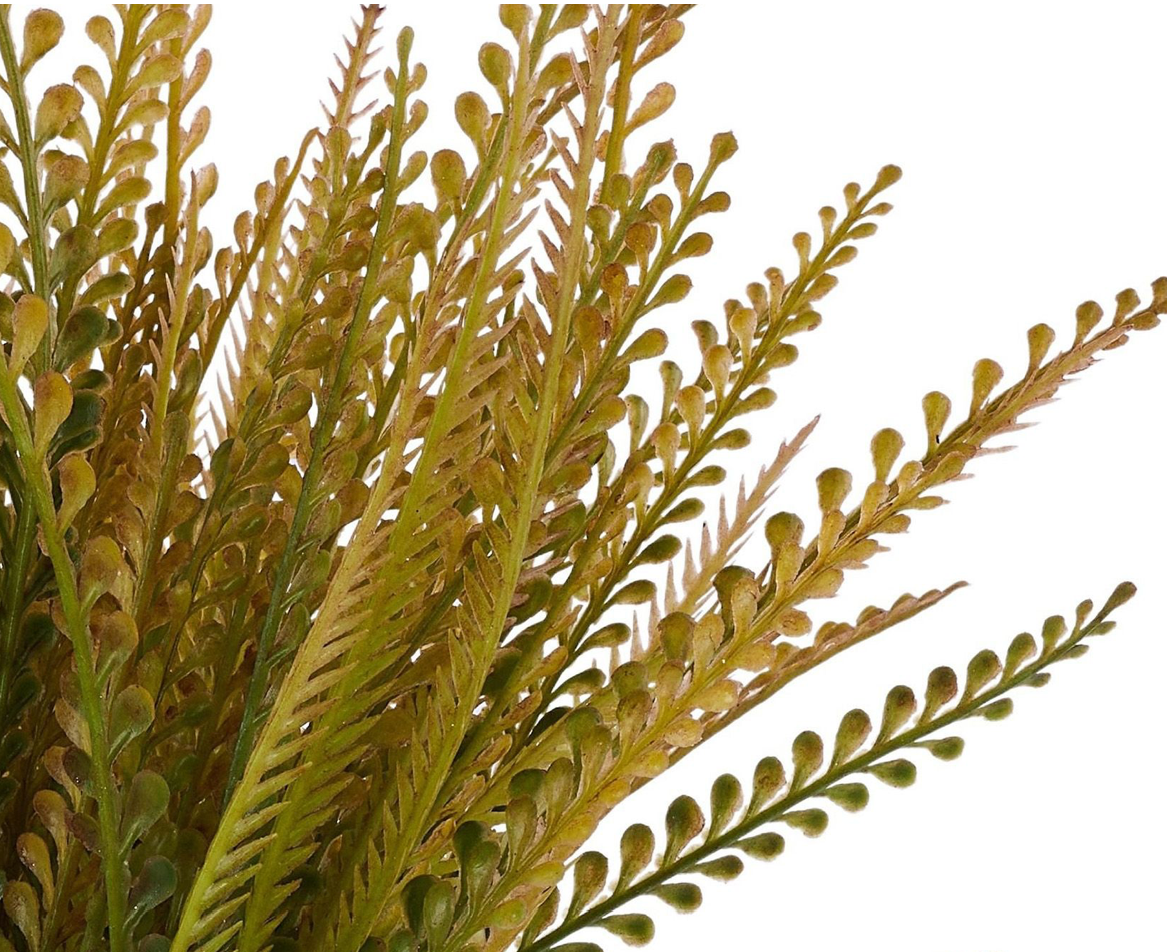 19in Brown Green Button Fern x7 - Premium Artificial Greenery for Wreaths, Arrangement & Home Decor