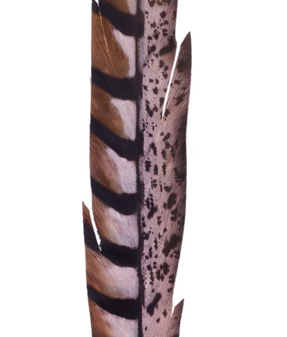 ONE DOZEN 27in Faux Pheasant Feather GREY BLACK BROWN