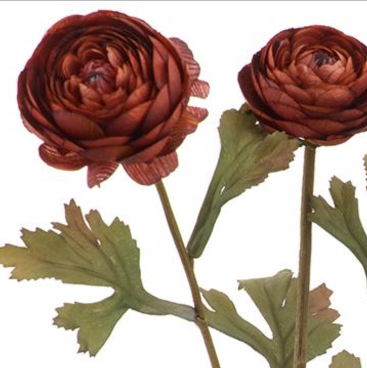 19in Brick Rust Ranunculus x3 - Premium Floral for Wreaths and Home Decor xyz