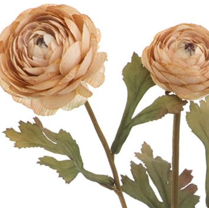 19in Beige Ranunculus x3 - Premium Floral for Wreaths and Home Decor xyz