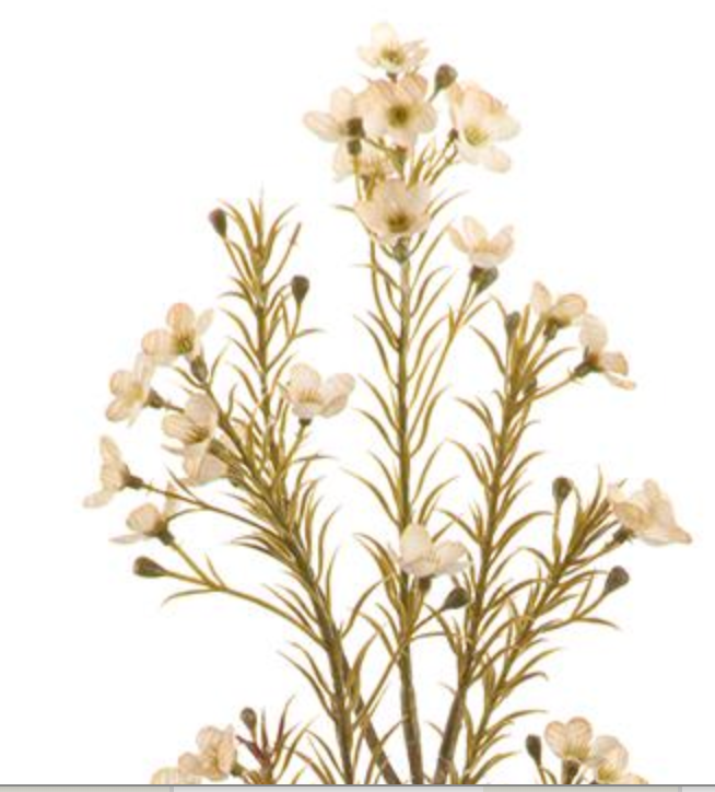 23in Beige Waxflower - Premium Floral for Wreaths and Home Decor