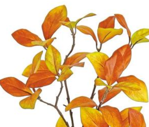 30in Brown Gold Enkianthus Foliage - Premium Greenery for Wreaths, Arrangements and Home Decor