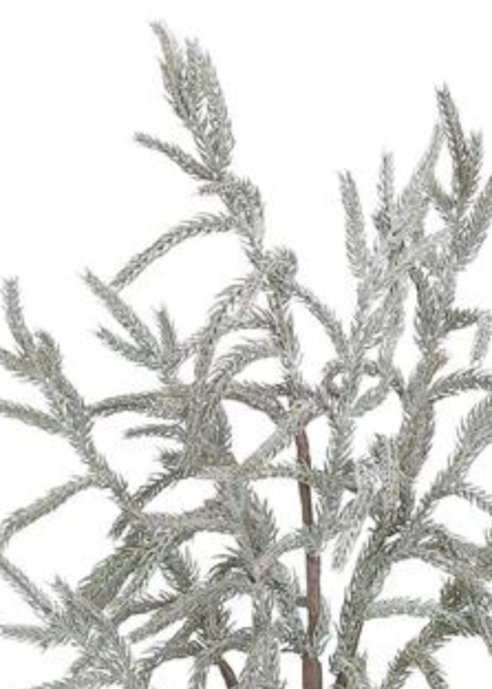 35in Grey Pine - Premium Greenery for Wreaths, Arrangements and Home Decor