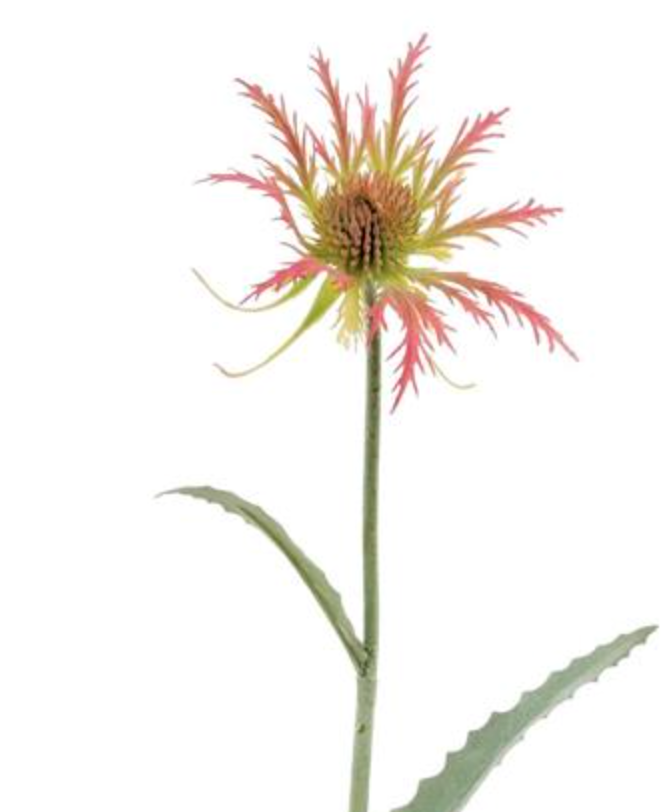 19in Rosewood Thistle - Premium Floral for Wreaths, Arrangements and Home Decor