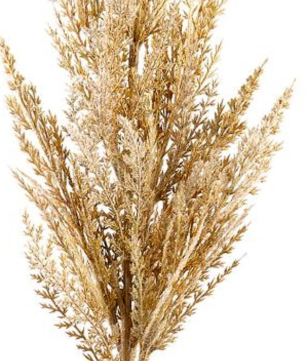 36in Beige Pampas Grass Allstate