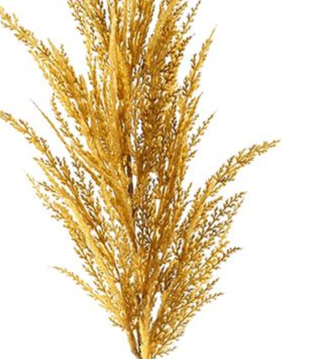 36in Mustard Pampas Grass Allstate