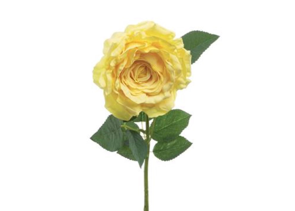 32in BLOOMED Tea Rose YELLOW