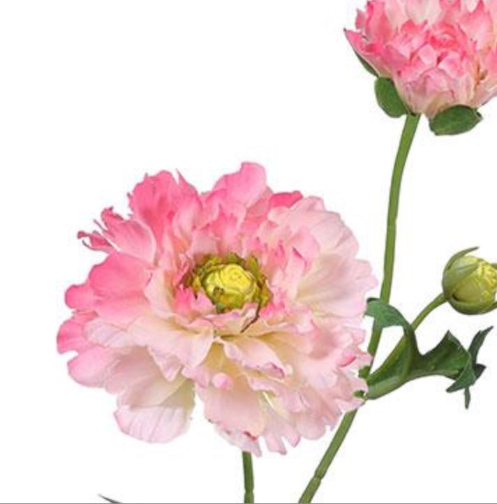 22in Ranunculus PINK