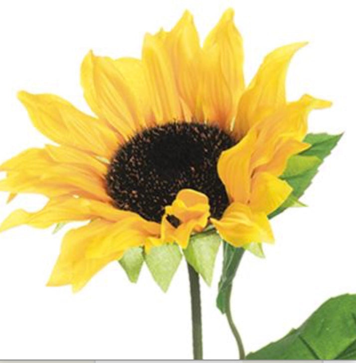 28in Sunflower YELLOW/GOLD