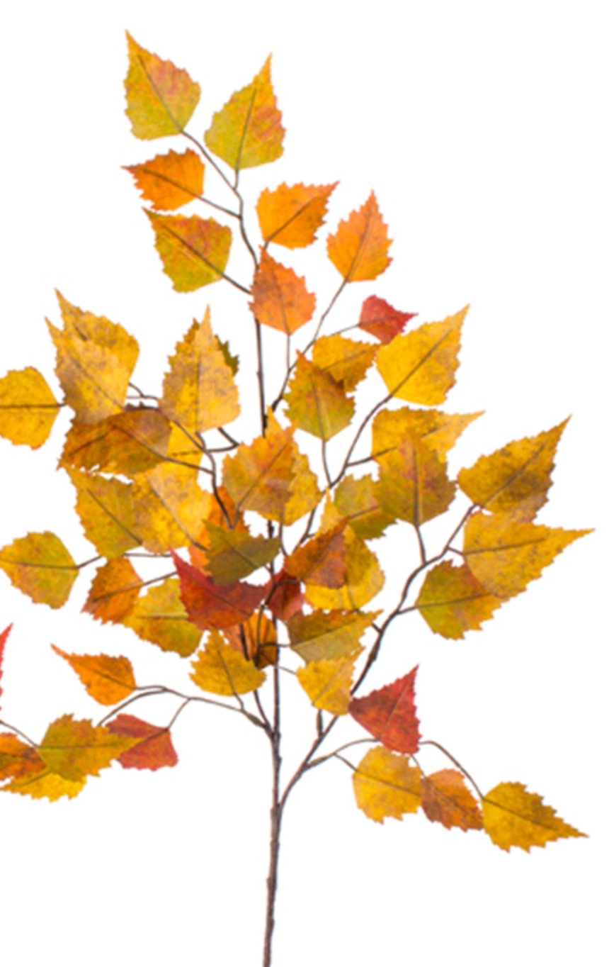 27in Green/Yellow Mix Birch Leaves - Premium Greenery for Wreaths, Arrangements and Home Decor CRI