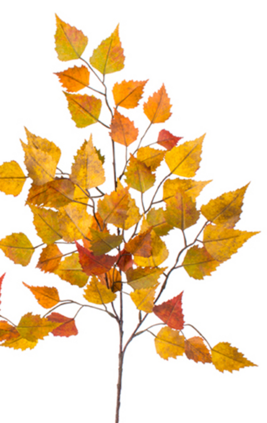 27in Green/Yellow Mix Birch Leaves - Premium Greenery for Wreaths, Arrangements and Home Decor CRI