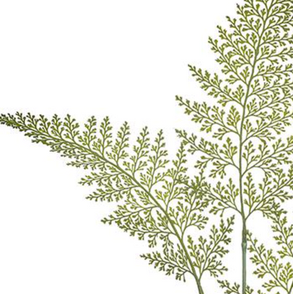 40in Green Lace Fern - Premium Greenery for Wreaths, Arrangements and Home Decor Allstate