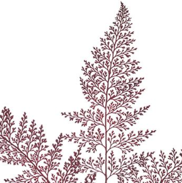 40in Burgundy Lace Fern - Premium Greenery for Wreaths, Arrangements and Home Decor Allstate