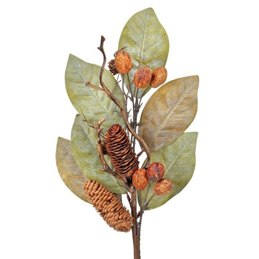 25in Dried Magnolia w/Nuts& Cones