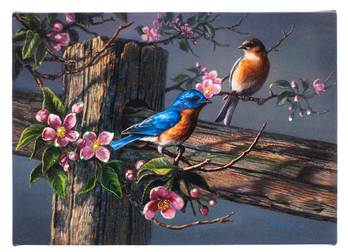 Birds on Blossom Fence 6x8 LIGHTED PICTURE