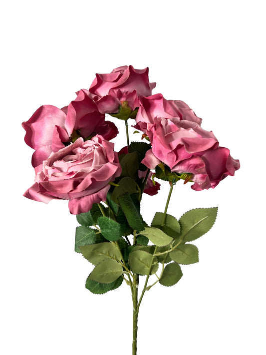 19in English Garden Rose PINK