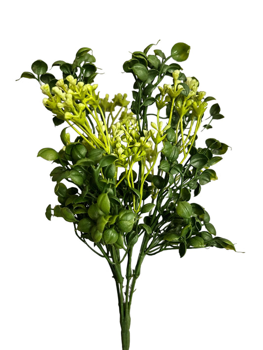 11in Seeding Boxwood Bush GREEN/CREAM