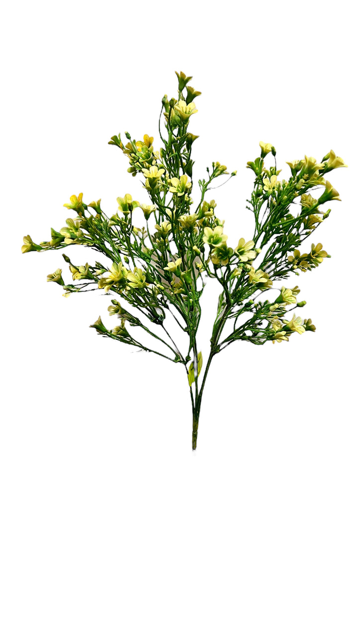 14in Waxflower x5 YELLOW