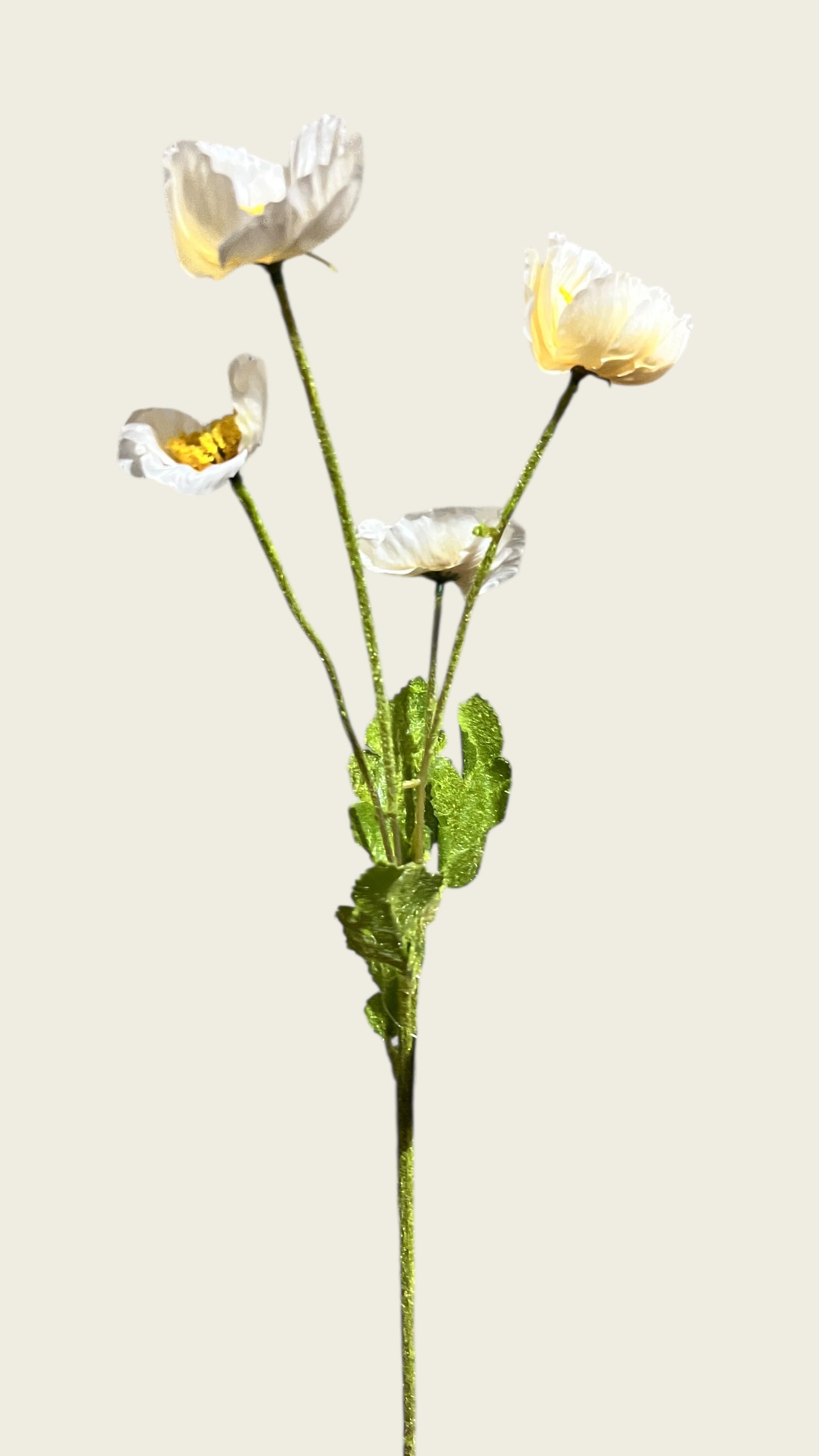 23in Champagne Poppy