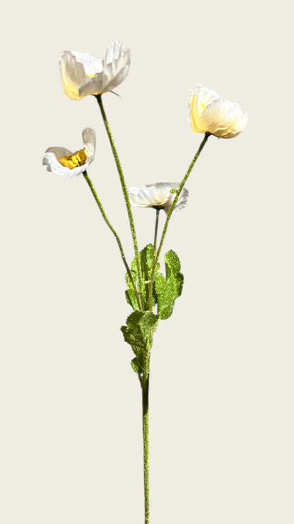 23in Champagne Poppy