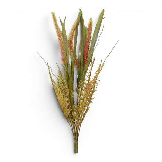 Large Fall Fern Grass Seed ORANGE SEED blx GSC