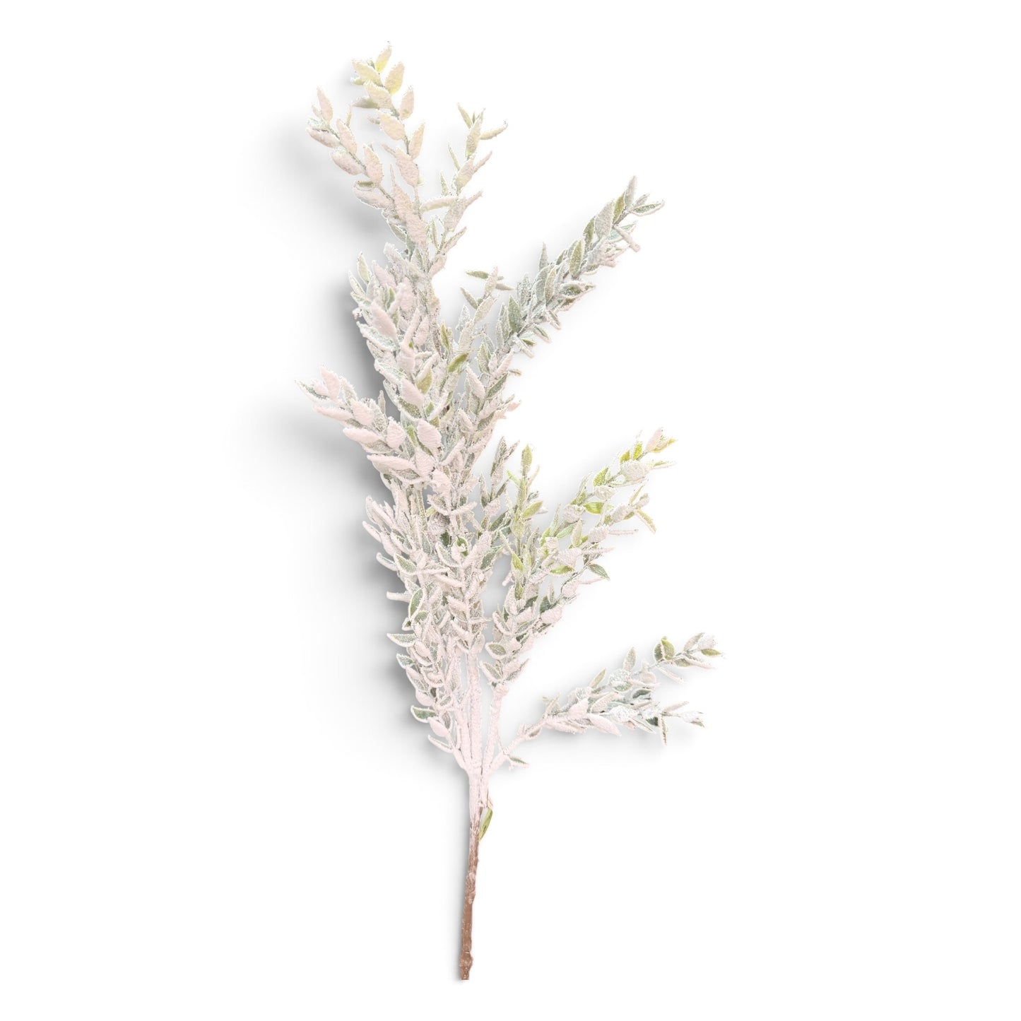 36in Snow Mountain Ruscus - Premium Greenery for Wreaths, Arrangements and Home Decor Regency