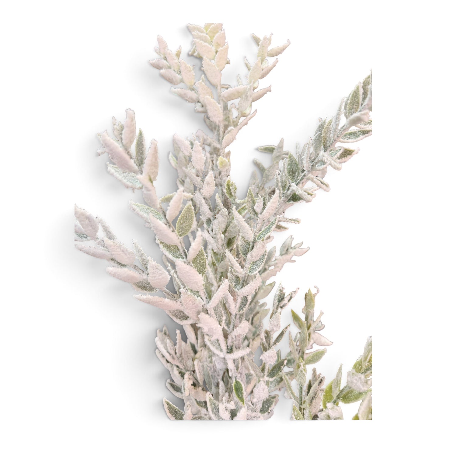 36in Snow Mountain Ruscus - Premium Greenery for Wreaths, Arrangements and Home Decor Regency