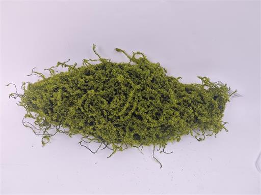 19in Green Moss Bark Container