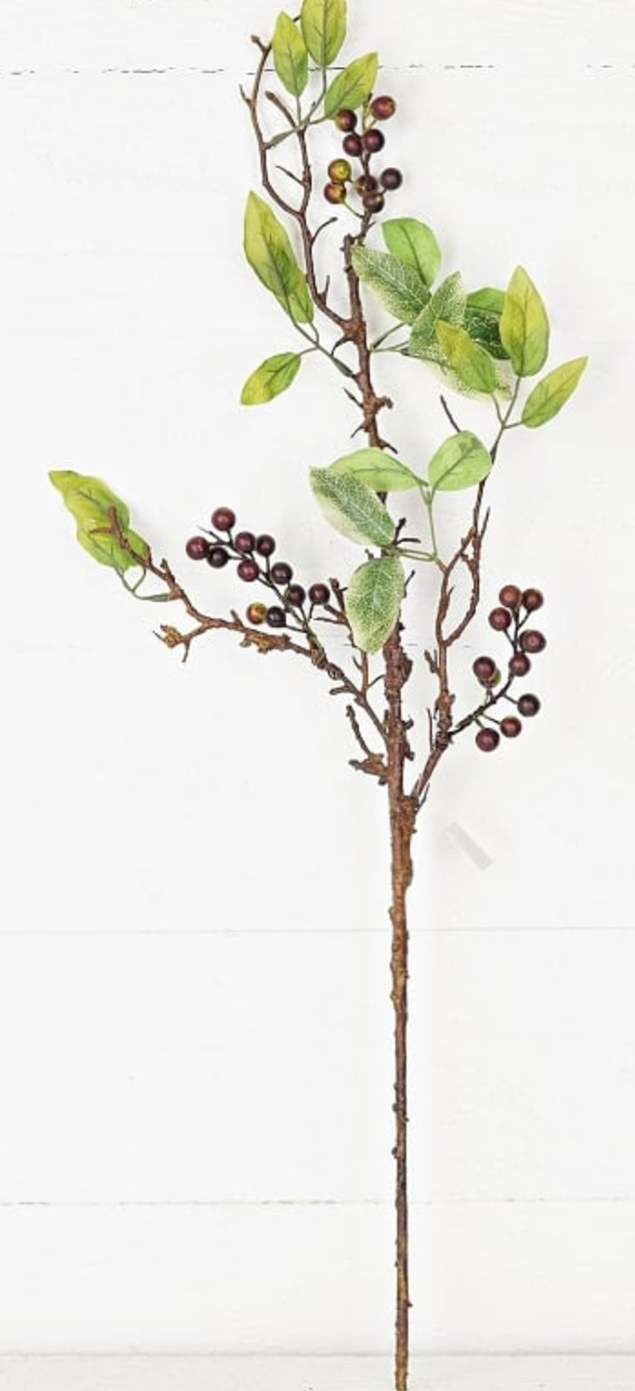 24in Pyracantha w/Dark Berries Pick Impressive