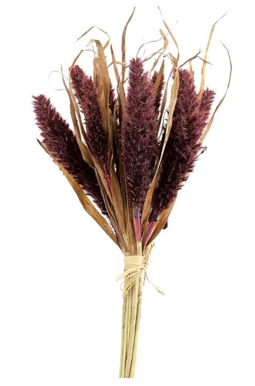 14in Autumn Tassel Weed Bundle x9