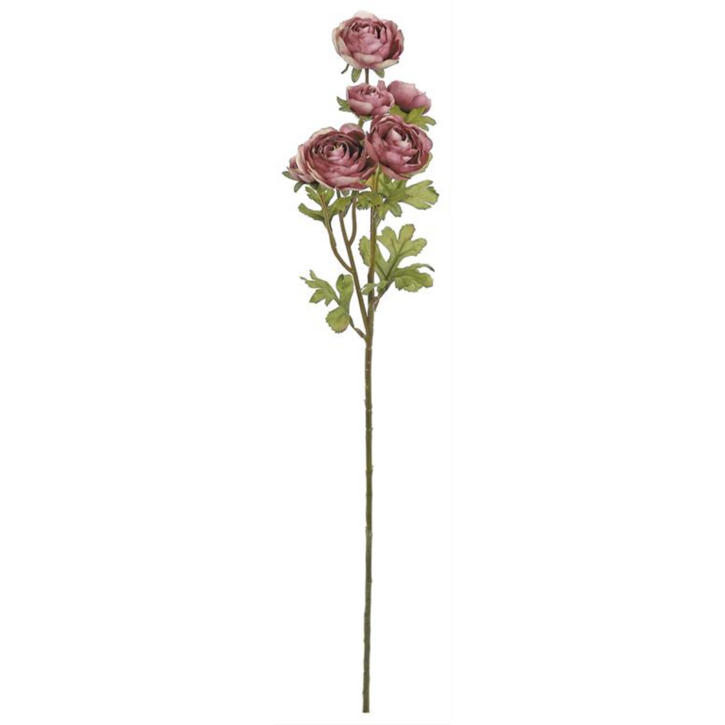 27in Ranunculus Cluster x6 MAUVE