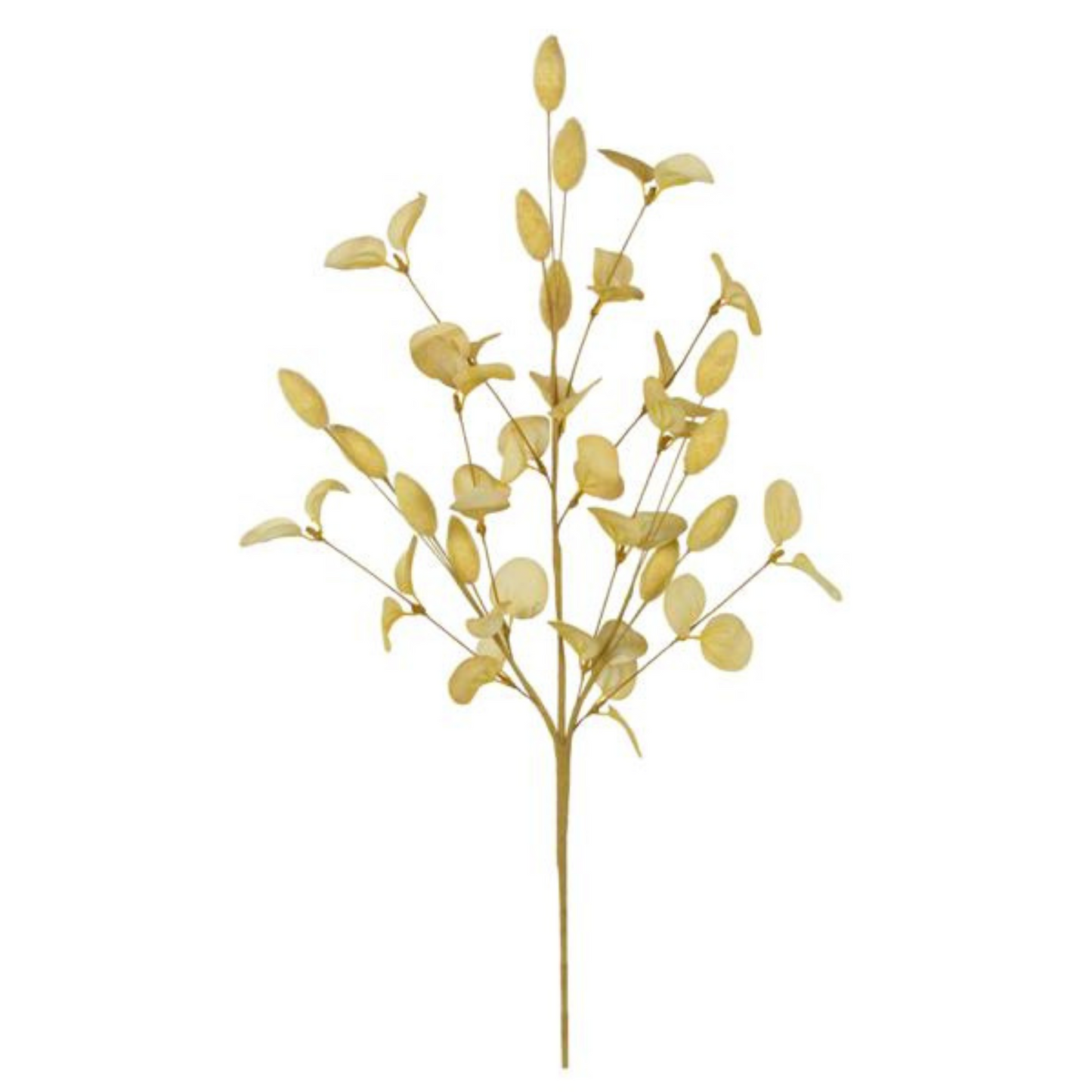 28.5" Willow Pods & Eucalyptus CREAM Craig Bachman