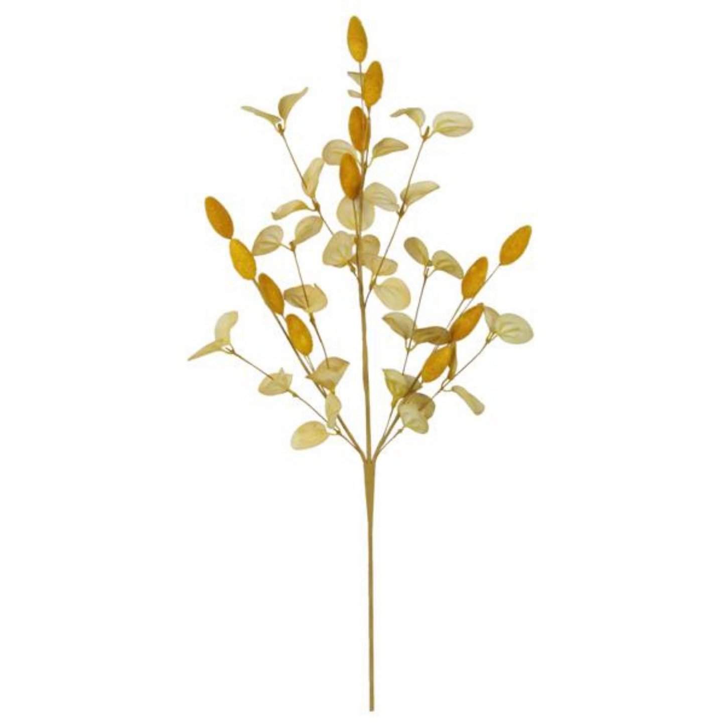 28.5" Willow Pods & Eucalyptus GOLD Craig Bachman