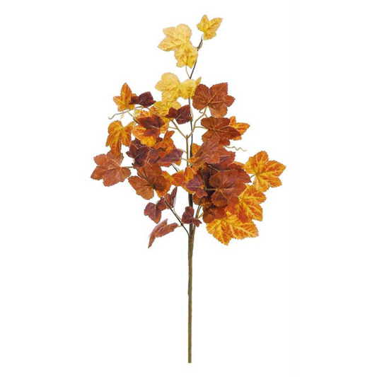 20in Autumn Ivy PICK