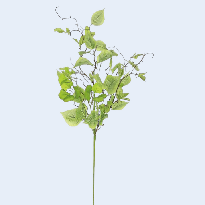 32in Elm Leaf & Tassel Seed Spray Brian's Favorite!