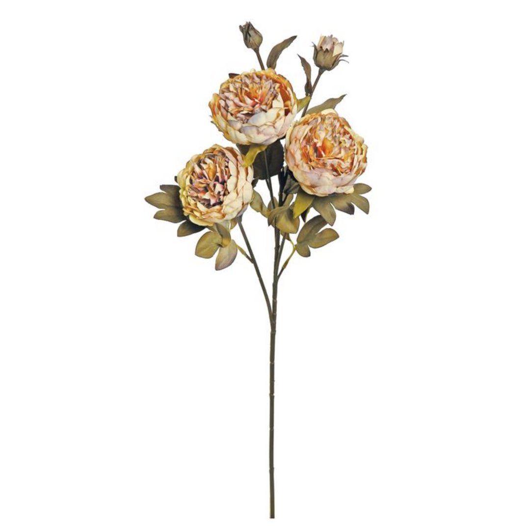 26in Harvest Peony x3 with 2 buds in Coffee