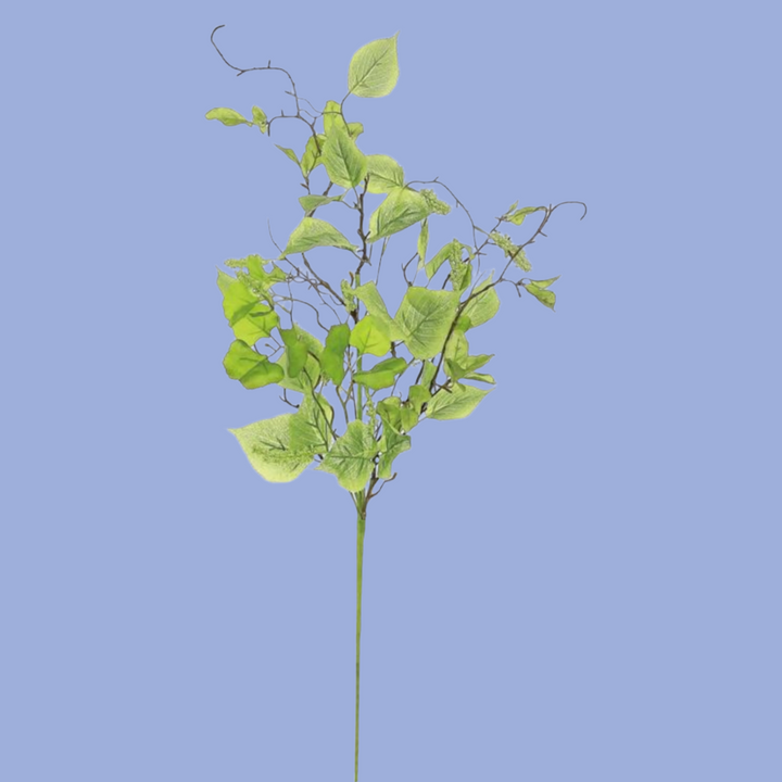 32in Elm Leaf & Tassel Seed Spray Brian's Favorite!