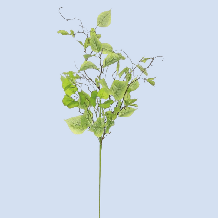 32in Elm Leaf & Tassel Seed Spray Brian's Favorite!