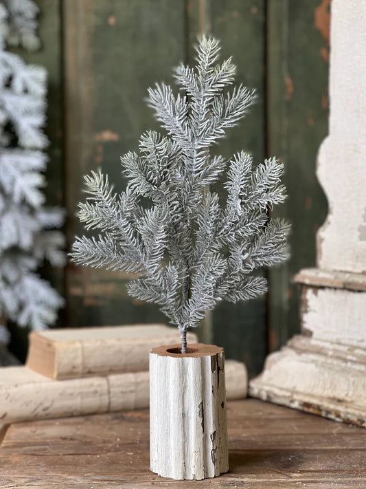 EVENT HERE 20in Snowy Sitka Spruce Lancaster and Vintage