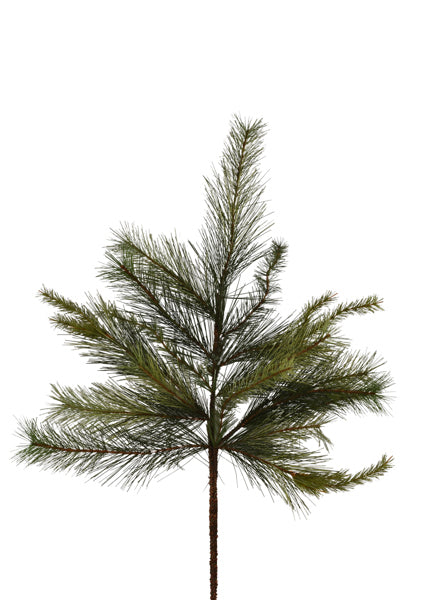 32in Appalachian Pine Craig Bachman
