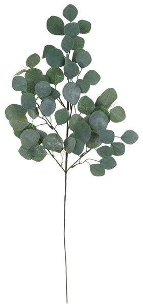 34in Silver Dollar Eucalyptus Spray adb