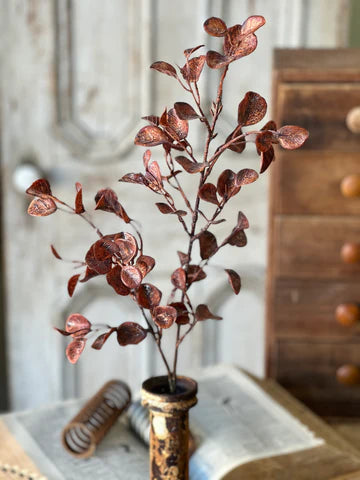 30in RUSSET Eucalyptus Lancaster and Vintage