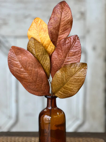 16in FIRST FALL Magnolia Leaves