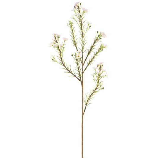24in Pale Pink/Cream Waxflower