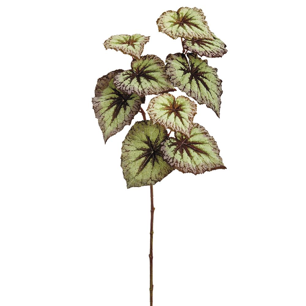 26in Green/Purple Begonia Leaf