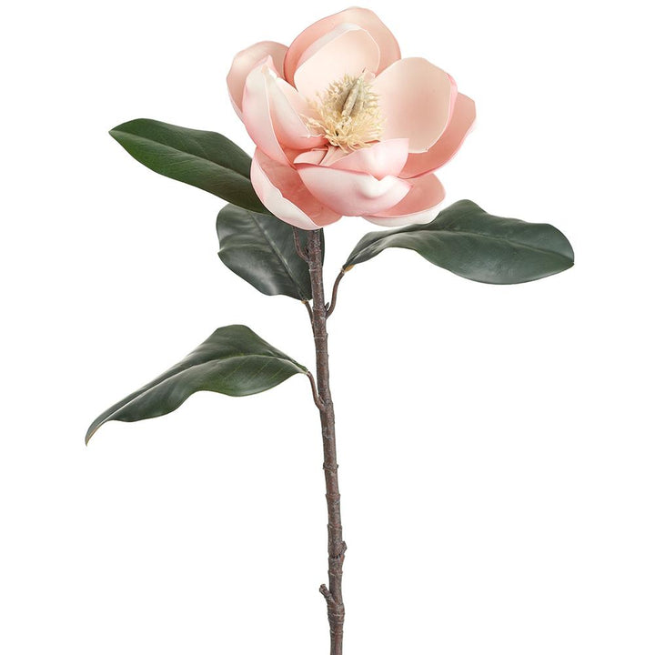 26in Premium Pink Magnolia Bloom & Leaves