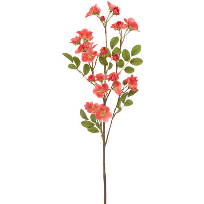 28in Coral Quince Blossom Spray