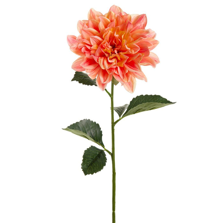 27in Dahlia Bloom CORAL